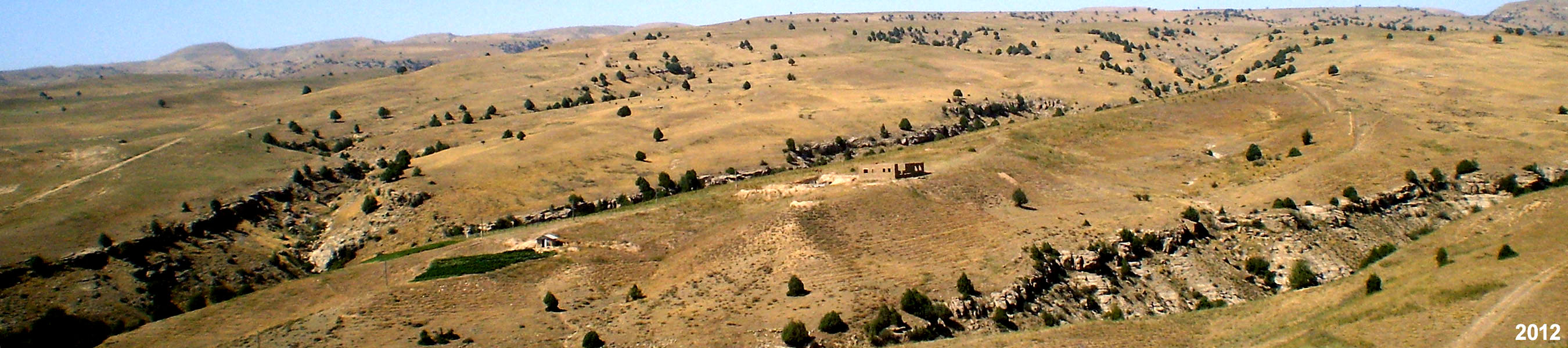 Ю-С-Аялолян-2012