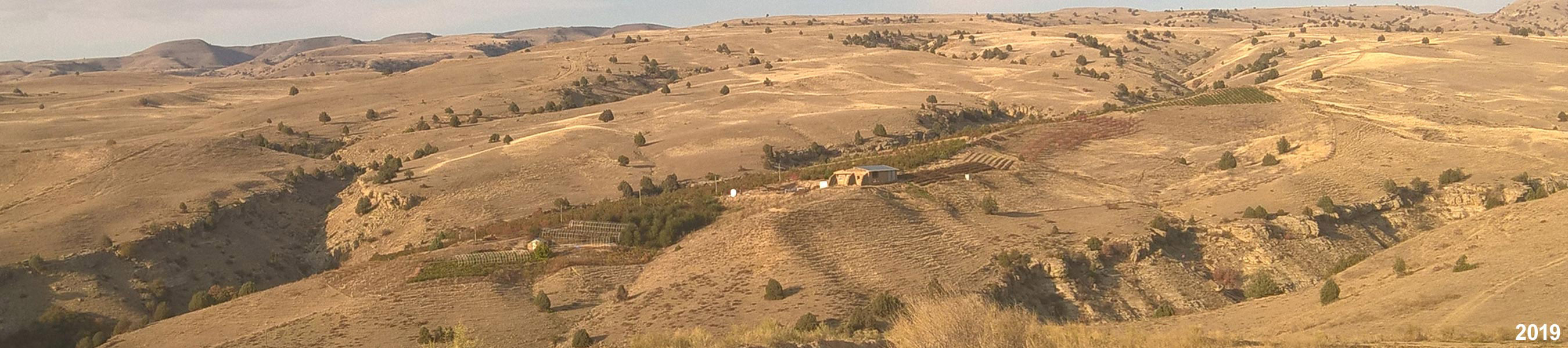 Ю-С-Аялолян-2019