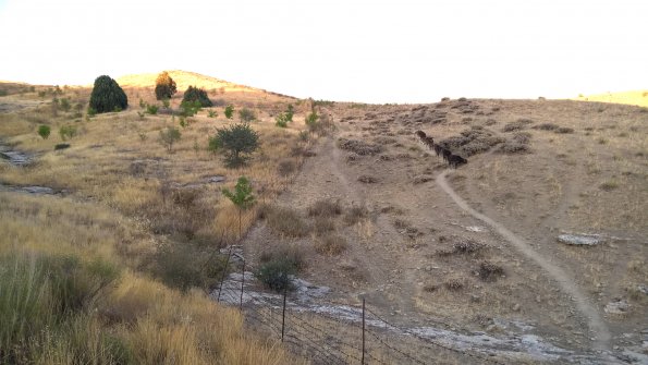 A13-Fenced-Not-fenced_595