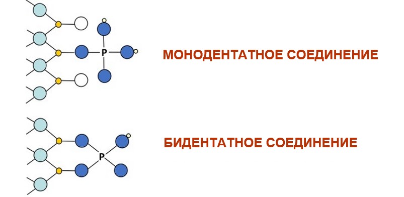 Основы - почвенные минералы и питание растений 3
