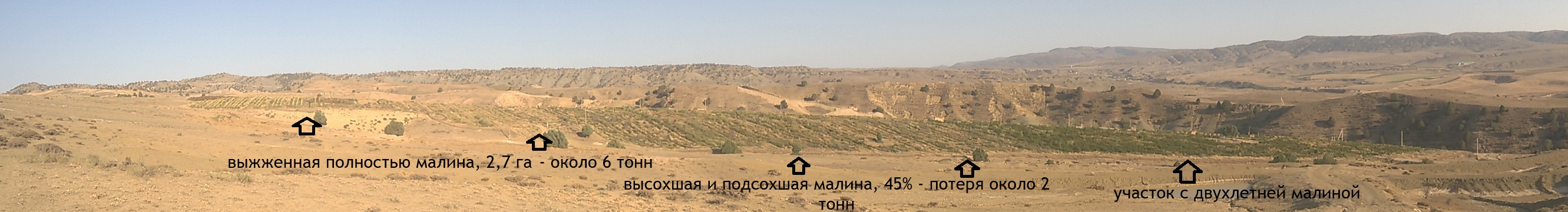 WP_20230904_18_05_11_Panorama